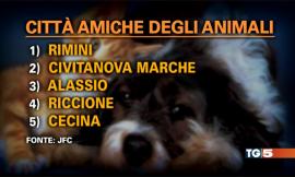 Civitanova seconda in Italia fra le città amiche degli animali