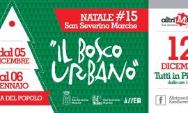 San Severino, Martini: grande successo per il Bosco Urbano