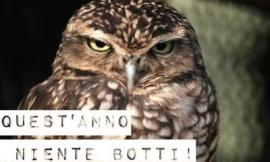 Treia Comunità Ideale lancia l'appello per fermare i botti di Capodanno
