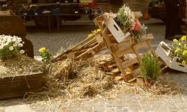 Torna a Colmurano l'Antica fiera di Santa Croce