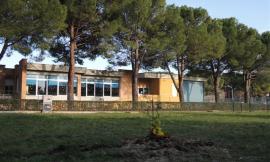 Vicenda Green, il comitato: "Nessun segnale di debolezza"