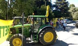 "Regione, fai più danni dei lupi": protesta di agricoltori e allevatori della Coldiretti