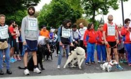 Amici a quattro zampe: pronti... via! Torna la 2° Stracanina maceratese
