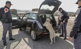 Hashish e marijuana in macchina: in manette 41enne di Morrovalle