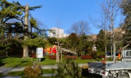 Macerata: chiusi i Giardini Diaz per vento forte. Spezzato il cedro secolare