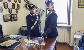 Alla vista dei carabinieri getta la droga nel bosco ma viene incastrato da "Anita"