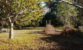 Sisma, "Un bungalow in giardino per sopravvivere alla paura, ma la burocrazia ha detto no"