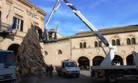 Montelupone: cosa si nasconde dietro l’albero della discordia