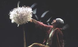 Teatro Annibal Caro sold out per lo spettacolo "Pollicino"
