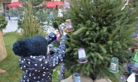 San Severino: una domenica ricca di eventi