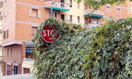 Un angolo troppo "verde" in via dei Velini: i residenti protestano.