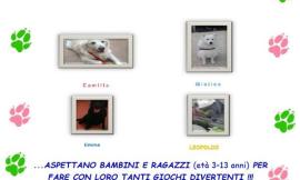 Laboratori a 4 zampe: Pet-Therapy a Mogliano