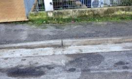 "A Civitanova in via Maroncelli non spuntano alberi o fiori, ma fili"