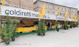 Mostra Mercato delle Attività Produttive: in arrivo la 26° edizione