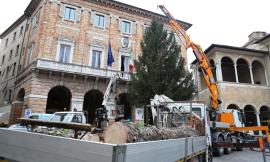 Doveva essere abbattuto: ora è il simbolo del Natale