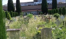 Macerata, ci risiamo: di nuovo erba alta al cimitero