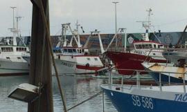 Peschereccio affonda al porto di Civitanova