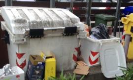 Civitanova, topi e scoiattoli morti: la denuncia di Città Verde