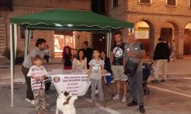 Un gazebo dei genitori a San Severino per chiedere scuole sicure
