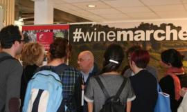 Porte aperte al master Unicam “Wine export management” a Matelica