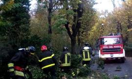 Il vento forte crea qualche disagio: diversi gli interventi dei pompieri di provincia