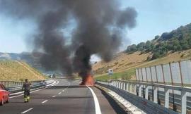 Auto a fuoco sulla superstrada 77