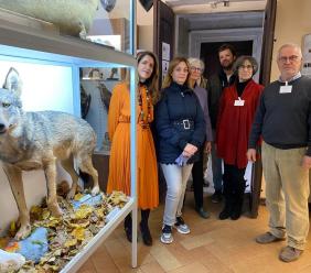Macerata, donato un esemplare di lupo appenninico al Museo di Storia Naturale