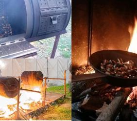 Tolentino in festa con la Castagnata 2025: tre giorni di gusto, musica e tradizione