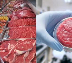 Carne sintetica, c'è chi dice sì nonostante il Governo: "Pronto a venderla nel mio bancone" Carne sintetica, c'è chi dice sì nonostante il Governo: "Pronto a venderla nel mio bancone"
