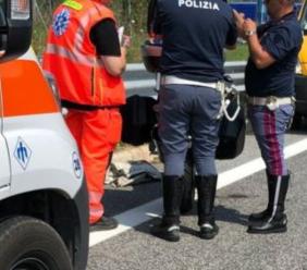 Auto si ribalta lungo l'A14 tra Porto Sant'Elpidio e Civitanova: feriti mamma e figlio