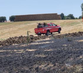 Morrovalle, a fuoco sterpaglie e grano: bruciati cinque ettari di superficie