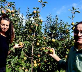 Monte San Martino, tornare nel passato e assaporarlo? All'Azienda Gobbi si può: viaggio tra i meleti antichi (FOTO e VIDEO)