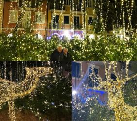 Porto Recanati, l'attrazione del Natale 2024 è il "Bosco Luminoso": un'oasi verde con 'cammelli' e 'cervi'