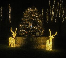 Fiastra accende il Natale: inaugurato l'Albero creato dalla comunità