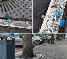 San Severino, rinvenute esche avvelenate nella zona della stazione ferroviaria