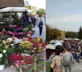 Serrapetrona, Caccamo in fiore: colori, tradizioni e sapori per celebrare il 25 aprile tra natura e bellezza