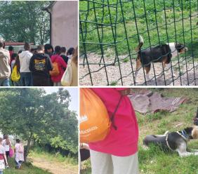 Macerata, "Educazione al rispetto degli animali": le prime classi del 'Fermi' in visita al canile cittadino
