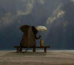 "Be Kind", il potere della gentilezza