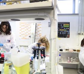 Unicam, "l’87% dei laureati magistrali è occupato a cinque anni dal titolo"