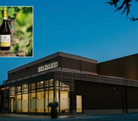 Il Verdicchio di Matelica conquista il mondo: platino per la Cantina Belisario ai Decanter Awards 2025