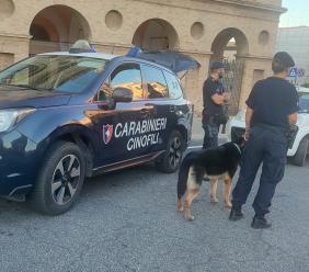 Cani antidroga e posti di blocco: controlli a tappeto dei Carabinieri a Macerata