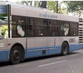 Tagli al trasporto urbano, Miliozzi attacca: "Scelte improvvisate, a pagarne il prezzo sono i cittadini"