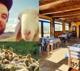 Dagli agnelli in regalo per il diploma all’agri-nido dei sogni: la storia di Giovanni Togni e della sua fattoria