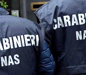 Controlli dei Nas a Porto Potenza: blatte morte e cucina sporca, chiuso ristorante di uno chalet