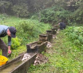 Parco dei Monti Sibillini, cercasi volontari per la salvaguardia degli anfibi