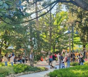 San Severino, torna “Borghi Aperti”:  alla scoperta dei cortili segreti e del giardino Coletti