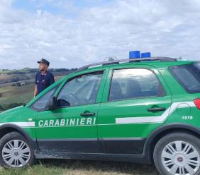 Potenza Picena, “Torrenova Golf non è abusivo, difformità edilizie in via di regolarizzazione"