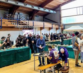 Serravalle, grande successo per Micoverso: primo grande evento del Centro Italia dedicato ai funghi