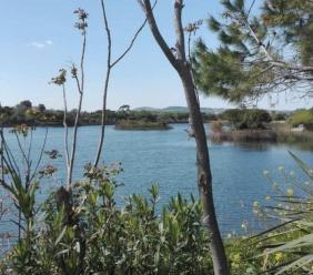 Potenza Picena, Parco dei Laghetti: “A sei mesi dalla mozione nessuna azione dal Comune”