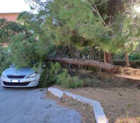Allerta arancione per vento nelle Marche: raffiche fino a "tempesta violenta" nell’entroterra maceratese